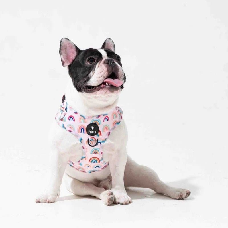 Furry & Co Raining Rainbow No Pull Harness for Dogs - Image 10