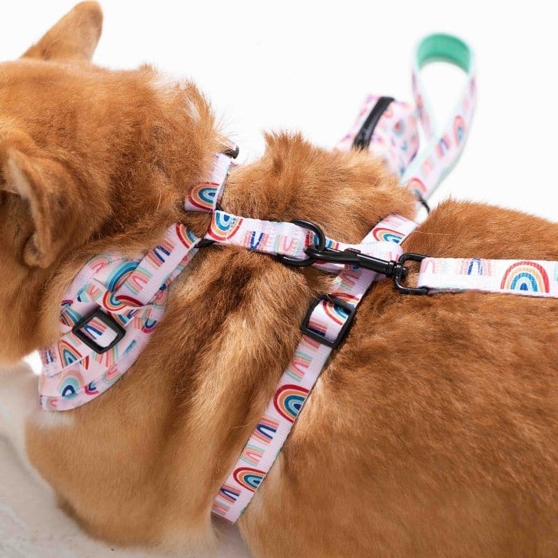 Furry & Co Raining Rainbow No Pull Harness for Dogs - Image 12