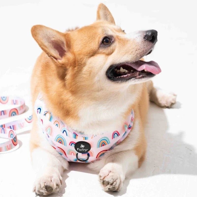 Furry & Co Raining Rainbow No Pull Harness for Dogs - Image 13