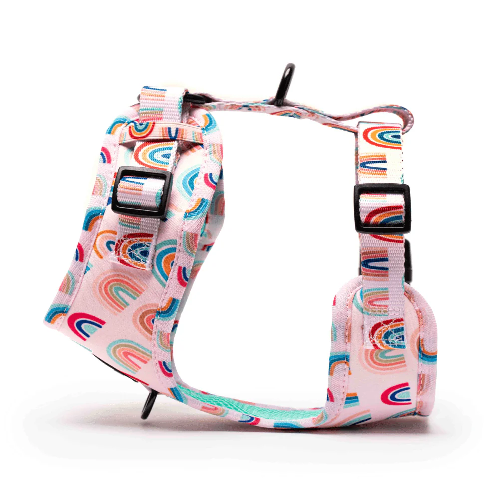 Furry & Co Raining Rainbow No Pull Harness for Dogs - Image 4