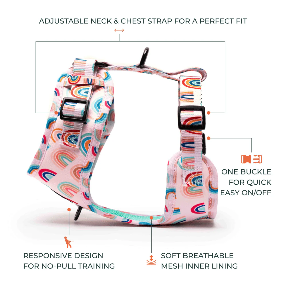 Furry & Co Raining Rainbow No Pull Harness for Dogs - Image 5
