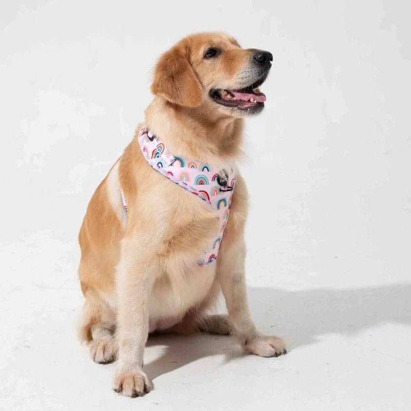 Furry & Co Raining Rainbow No Pull Harness for Dogs - Image 7