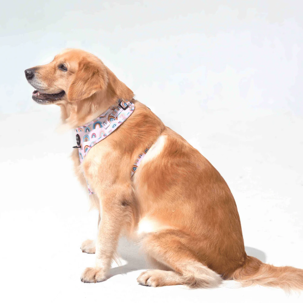 Furry & Co Raining Rainbow No Pull Harness for Dogs - Image 8