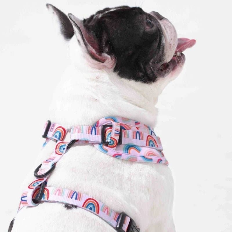 Furry & Co Raining Rainbow No Pull Harness for Dogs - Image 9