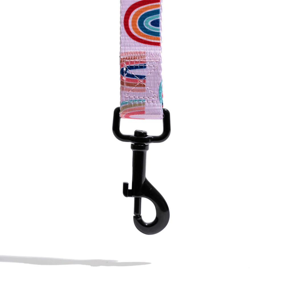 Furry & Co Raining Rainbows Comfort Leash for Dogs - Image 3