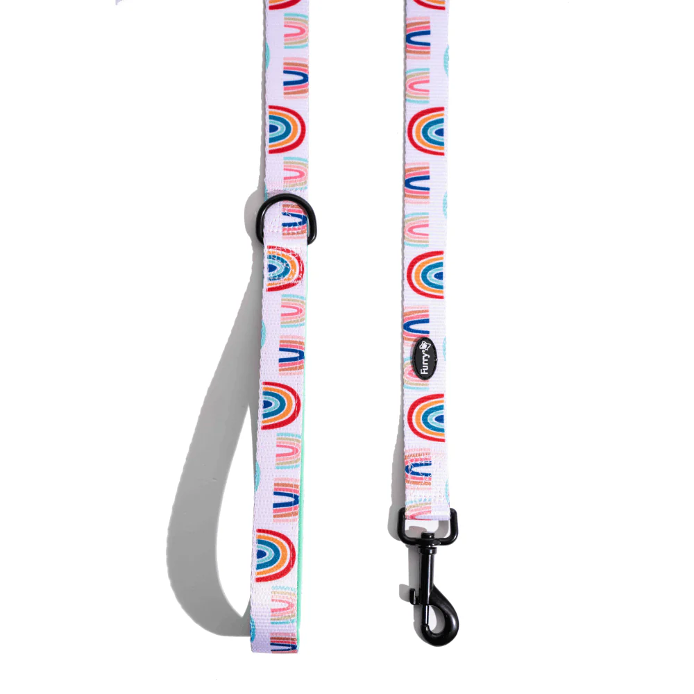 Furry & Co Raining Rainbows Comfort Leash for Dogs - Image 4