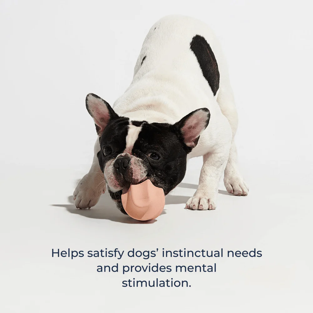 Furry & Co Roller Toy for Dogs (Indigo Blue) - Image 9