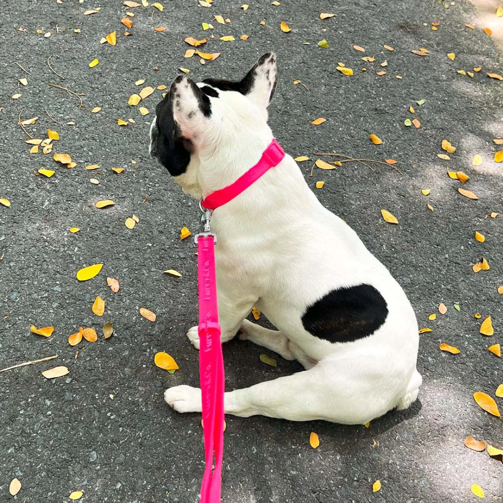 Furry & Co Ultra Collar for Dogs (Electra) - Image 3