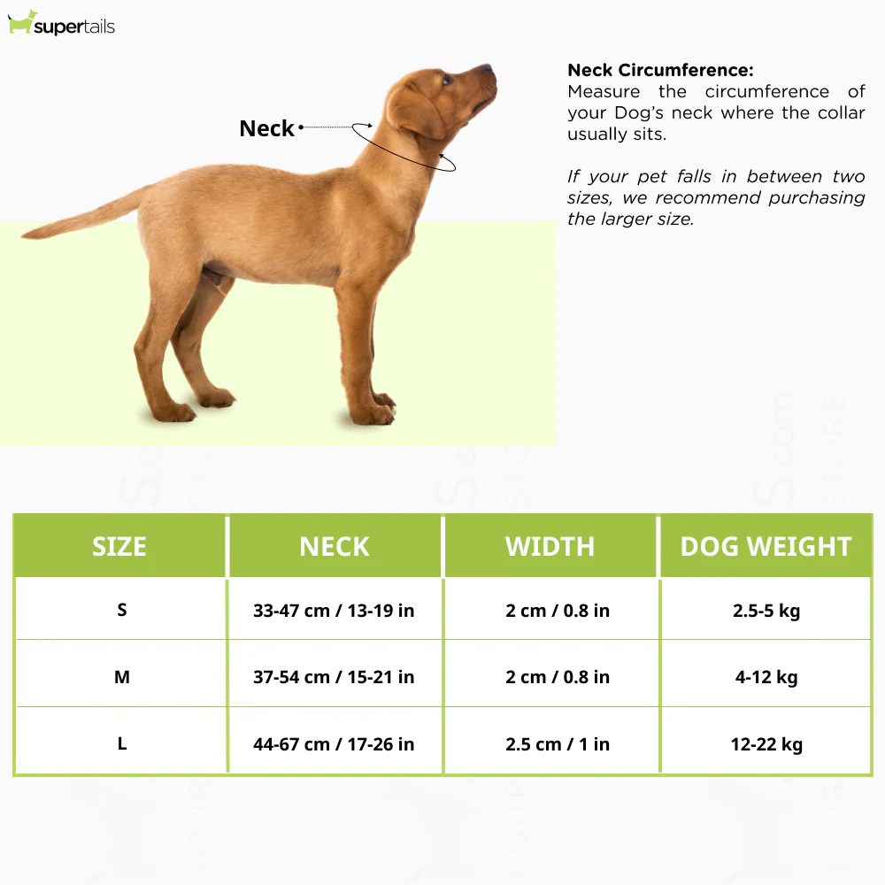 Furry & Co Ultra Collar for Dogs (Limelight) - Image 2