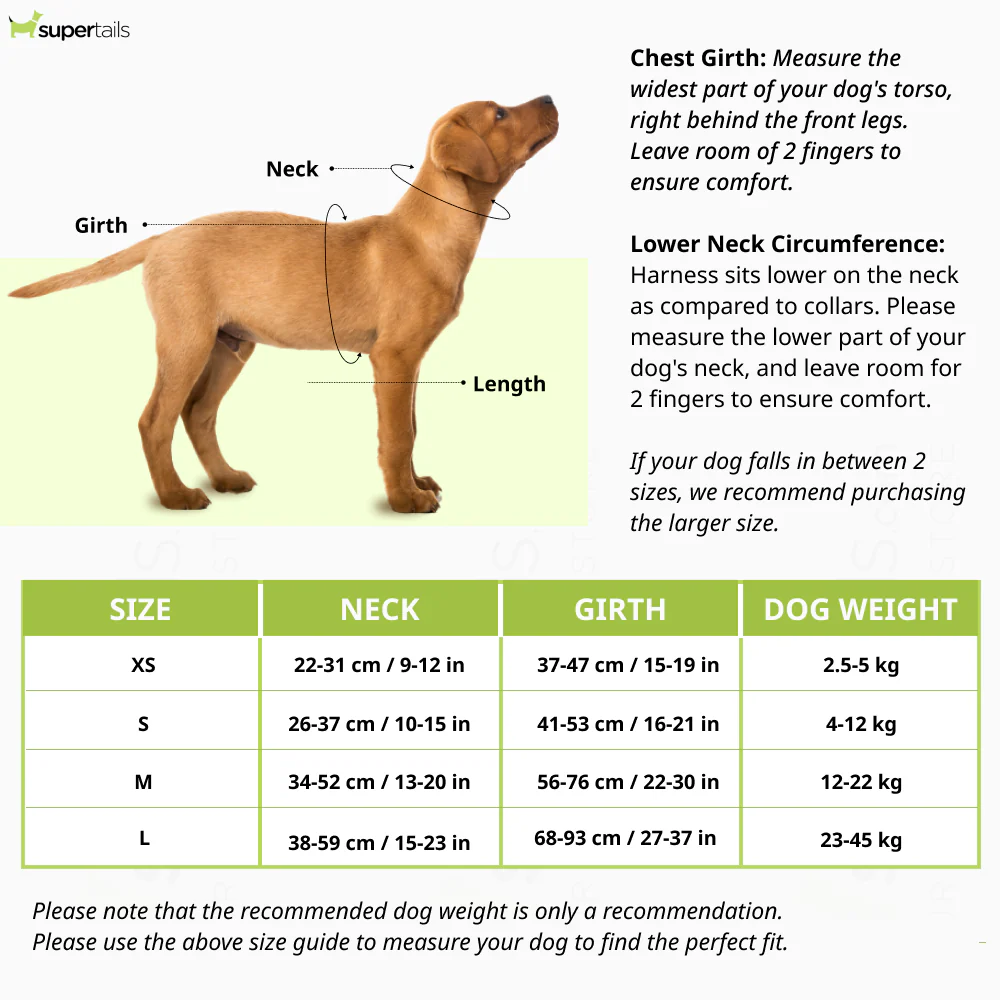 Furry & Co Ultra Harness for Dogs (Electra) - Image 2
