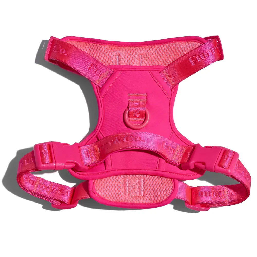 Furry & Co Ultra Harness for Dogs (Electra) - Image 4