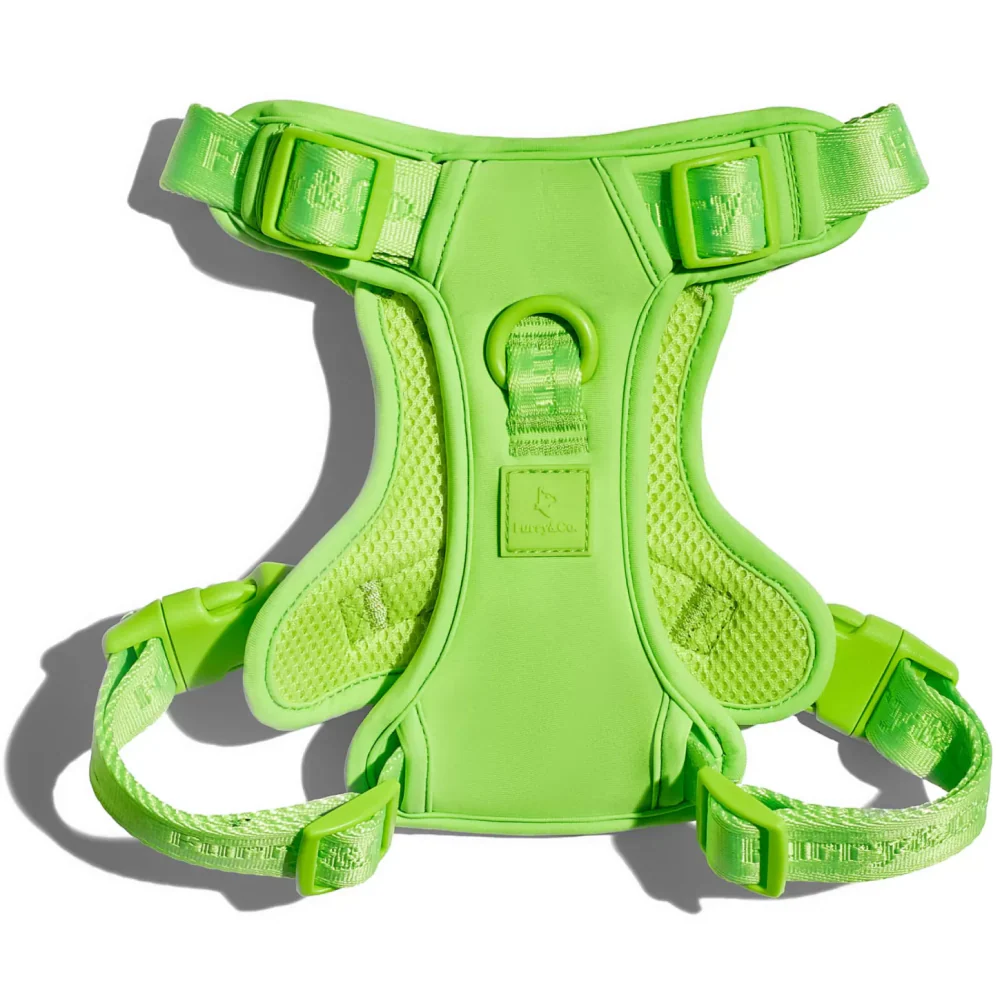 Furry & Co Ultra Harness for Dogs (Limelight) - Image 3