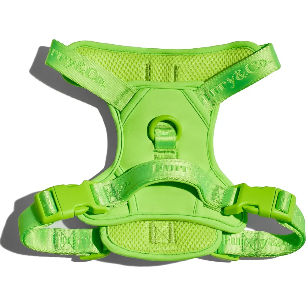 Furry & Co Ultra Harness for Dogs (Limelight) - Image 4