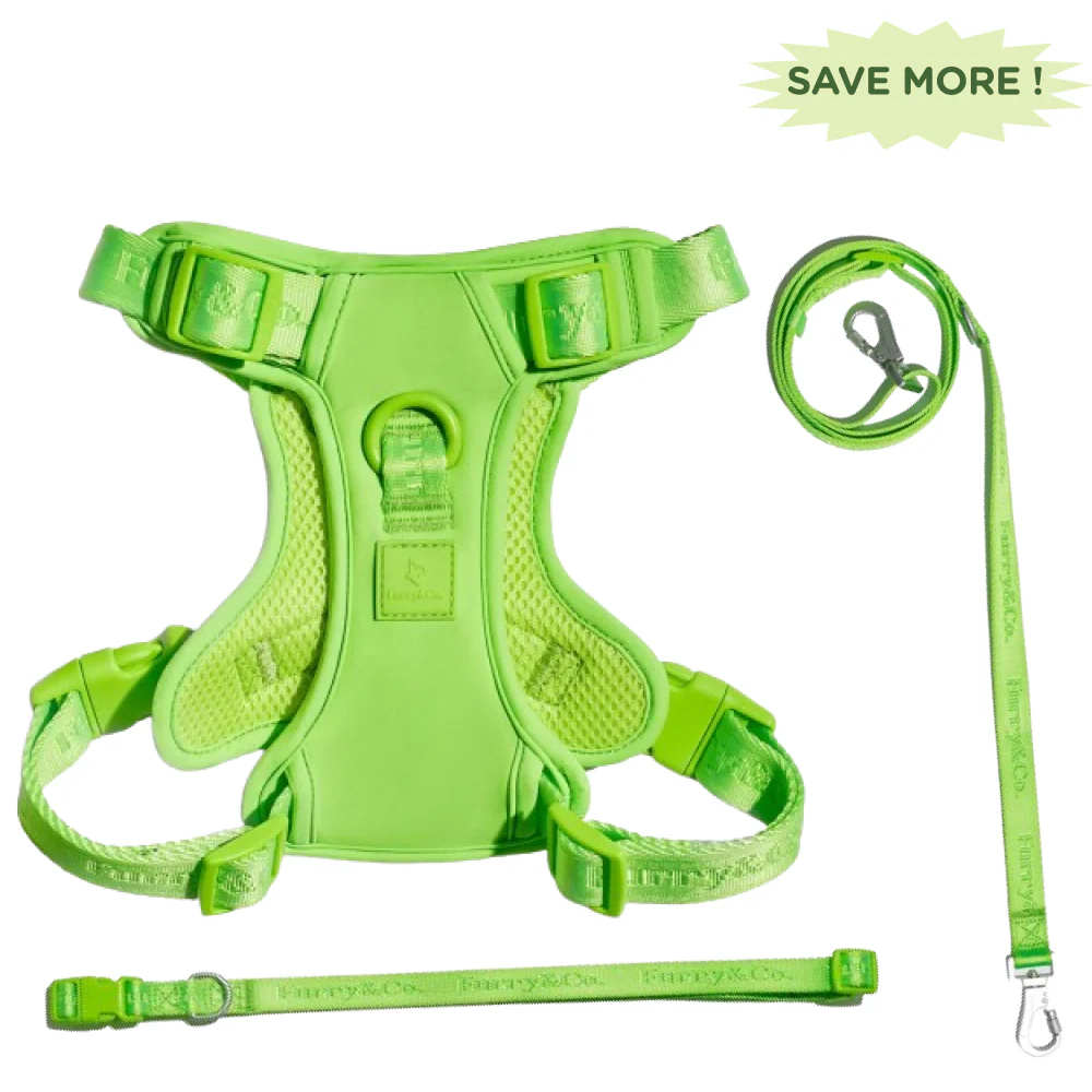 Furry & Co Ultra Harness, Leash and Collar for Dogs Combo (Limelight) - L