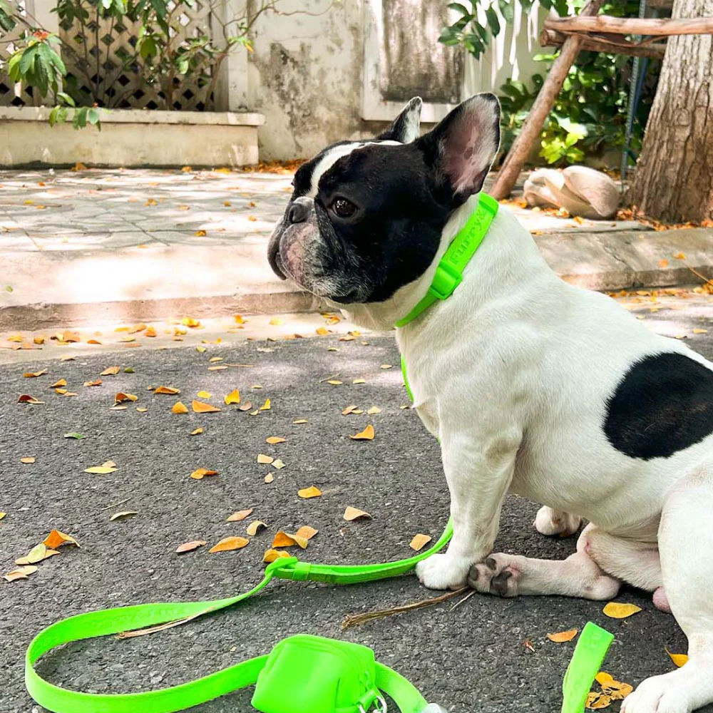 Furry & Co Ultra Harness, Leash and Collar for Dogs Combo (Limelight) - L - Image 15