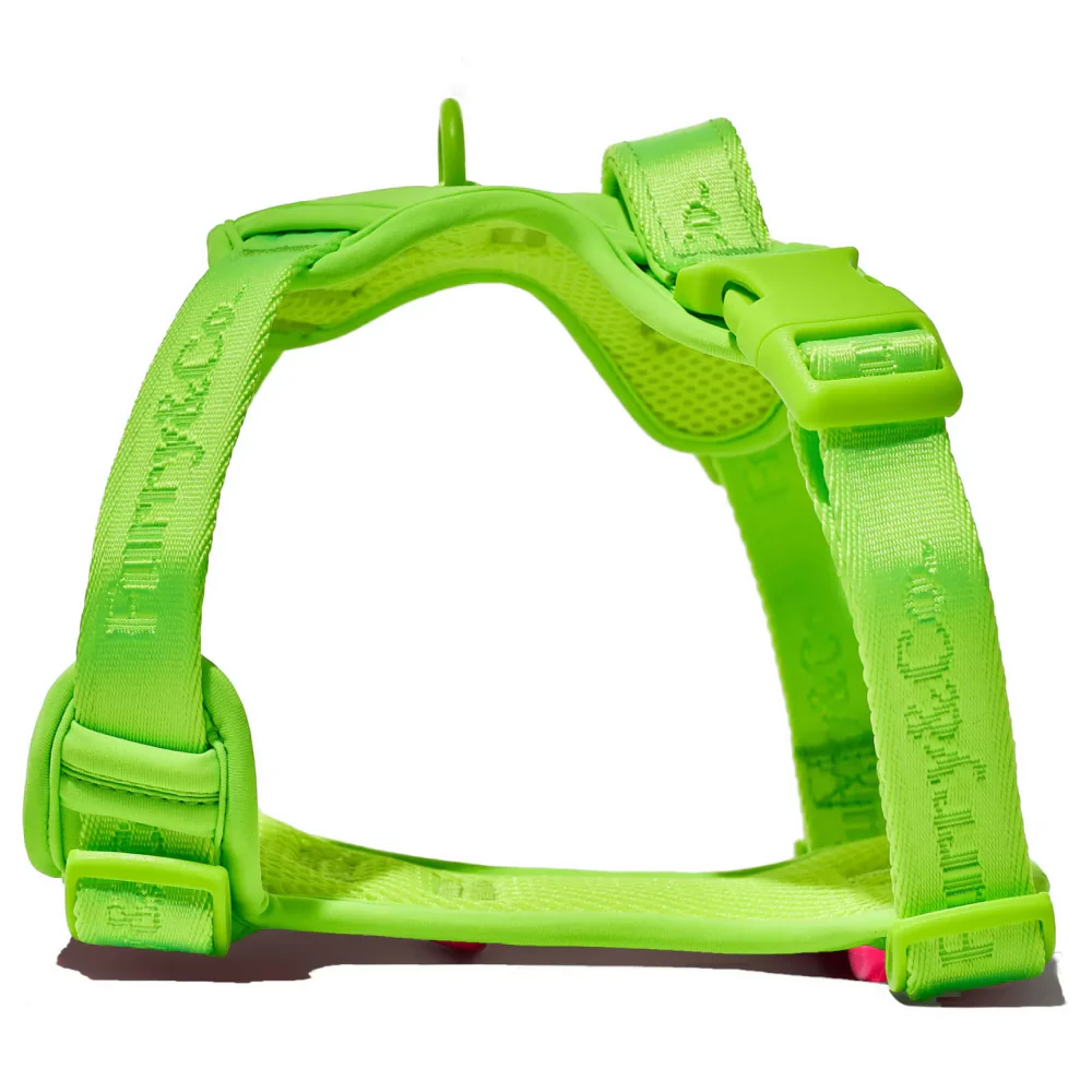 Furry & Co Ultra Harness, Leash and Collar for Dogs Combo (Limelight) - L - Image 2