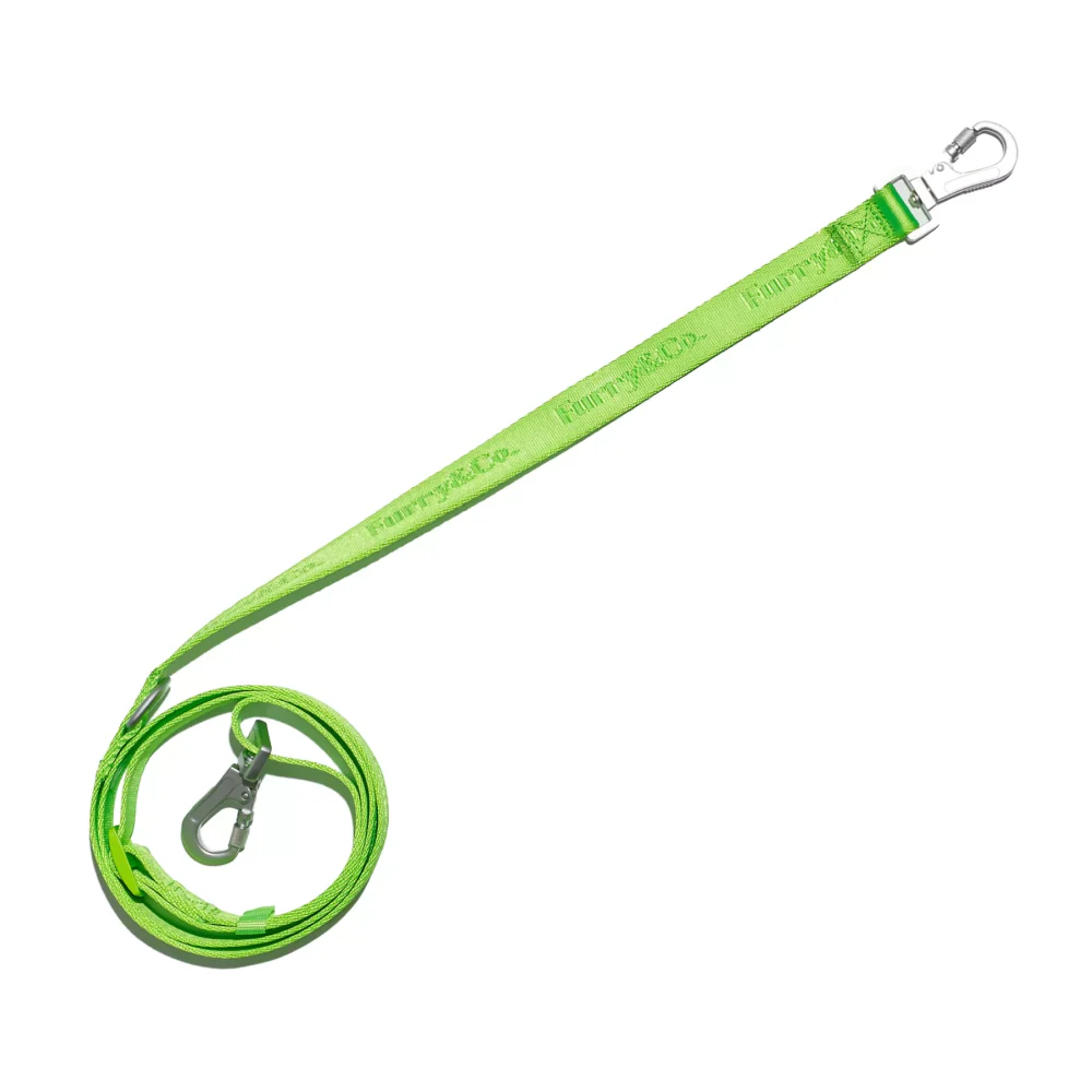 Furry & Co Ultra Harness, Leash and Collar for Dogs Combo (Limelight) - L - Image 7
