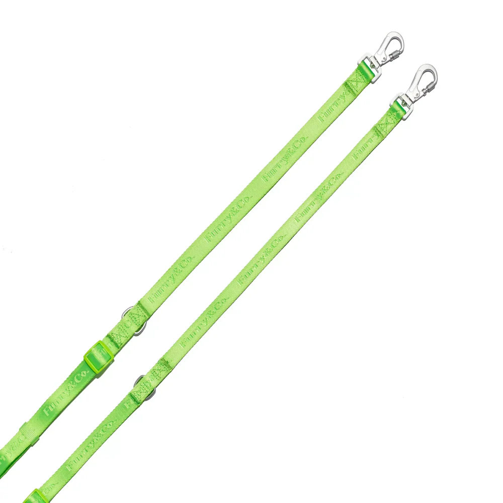 Furry & Co Ultra Harness, Leash and Collar for Dogs Combo (Limelight) - L - Image 9