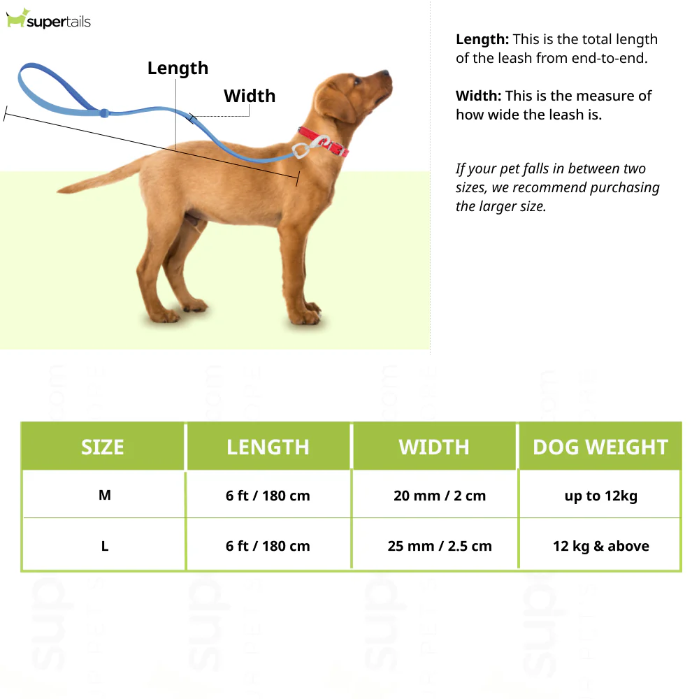 Furry & Co Ultra Leash for Dogs (Electra) - Image 2