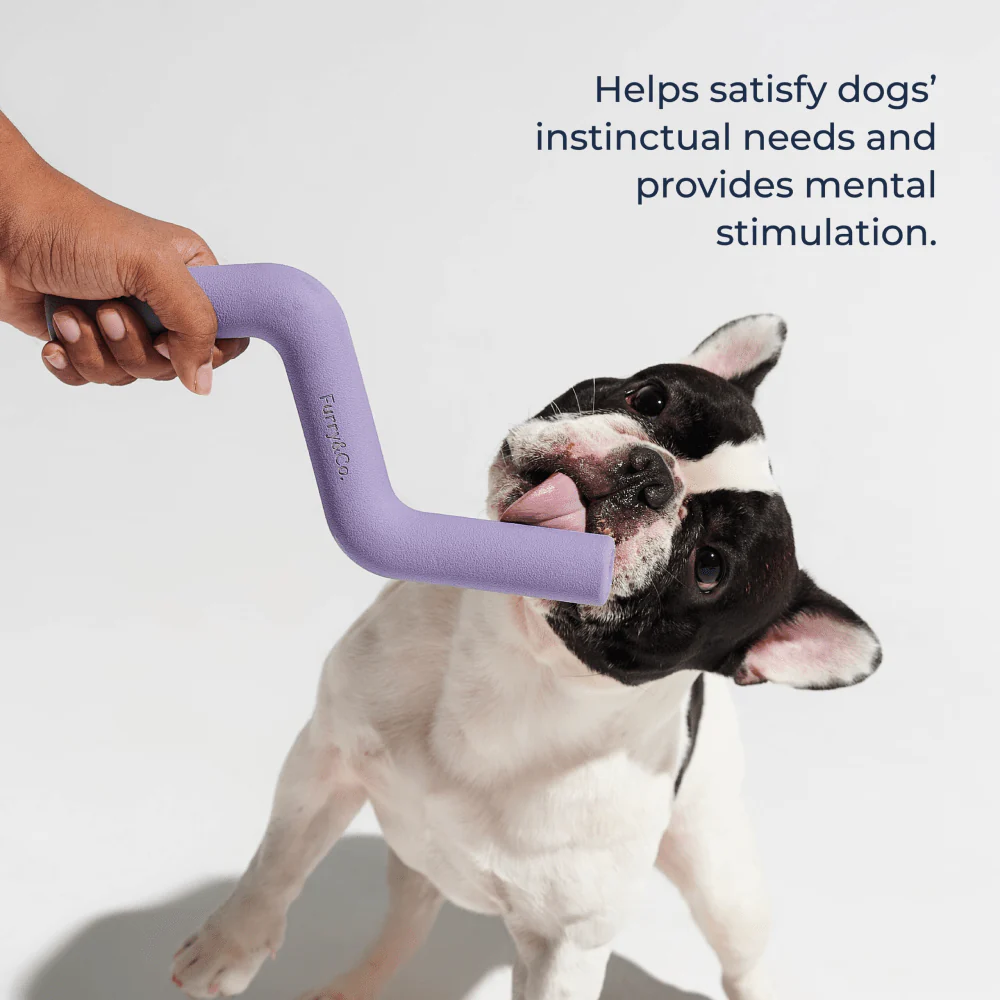 Furry & Co Volt Toy for Dogs (Lilac) - Image 4