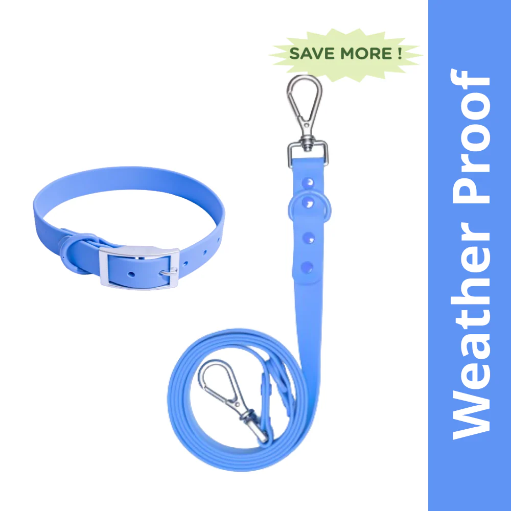 Furry & Co Weatherproof Collar and Leash for Dogs Combo (Everest Blue) - M