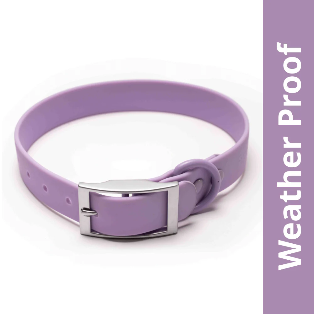 Furry & Co Weatherproof Collar for Dogs (Lilac)