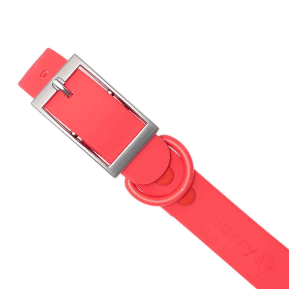 Furry & Co Weatherproof Collar for Dogs (Coral Red) - Image 3