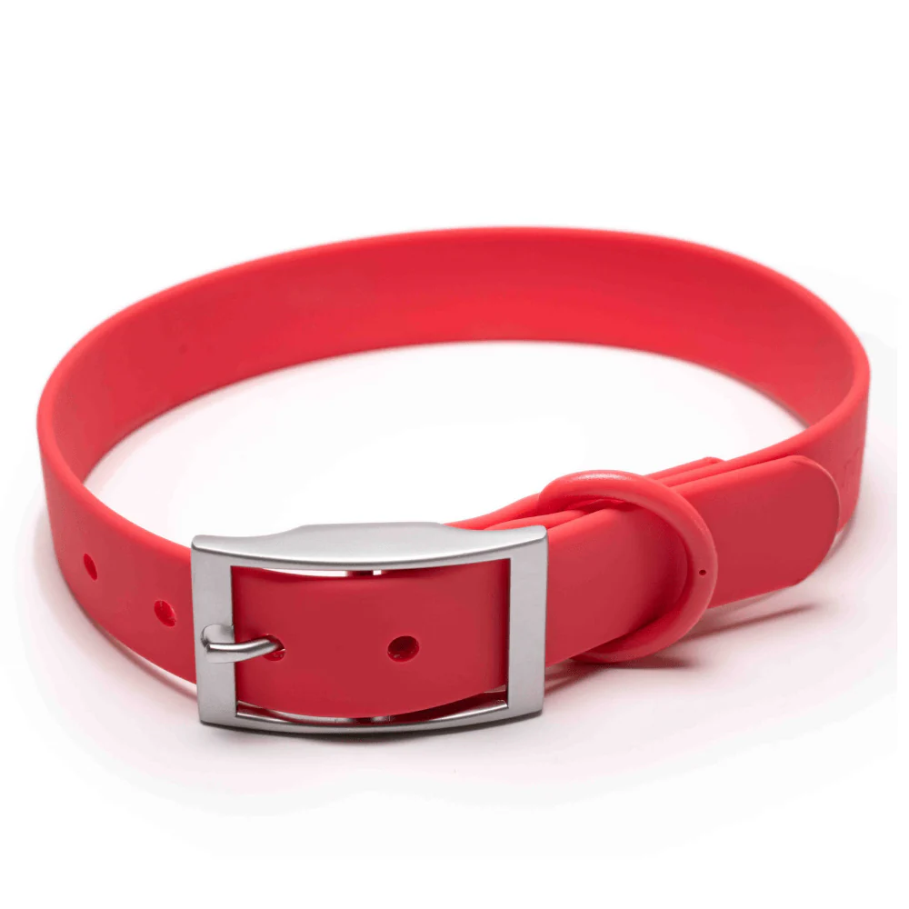 Furry & Co Weatherproof Collar for Dogs (Coral Red) - Image 8