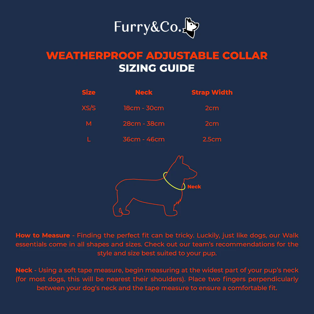 Furry & Co Weatherproof Collar for Dogs (Everest Blue) - Image 6