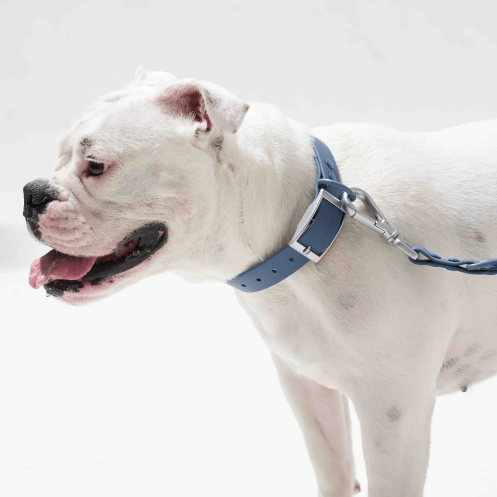 Furry & Co Weatherproof Collar for Dogs (Indigo Blue) - Image 4