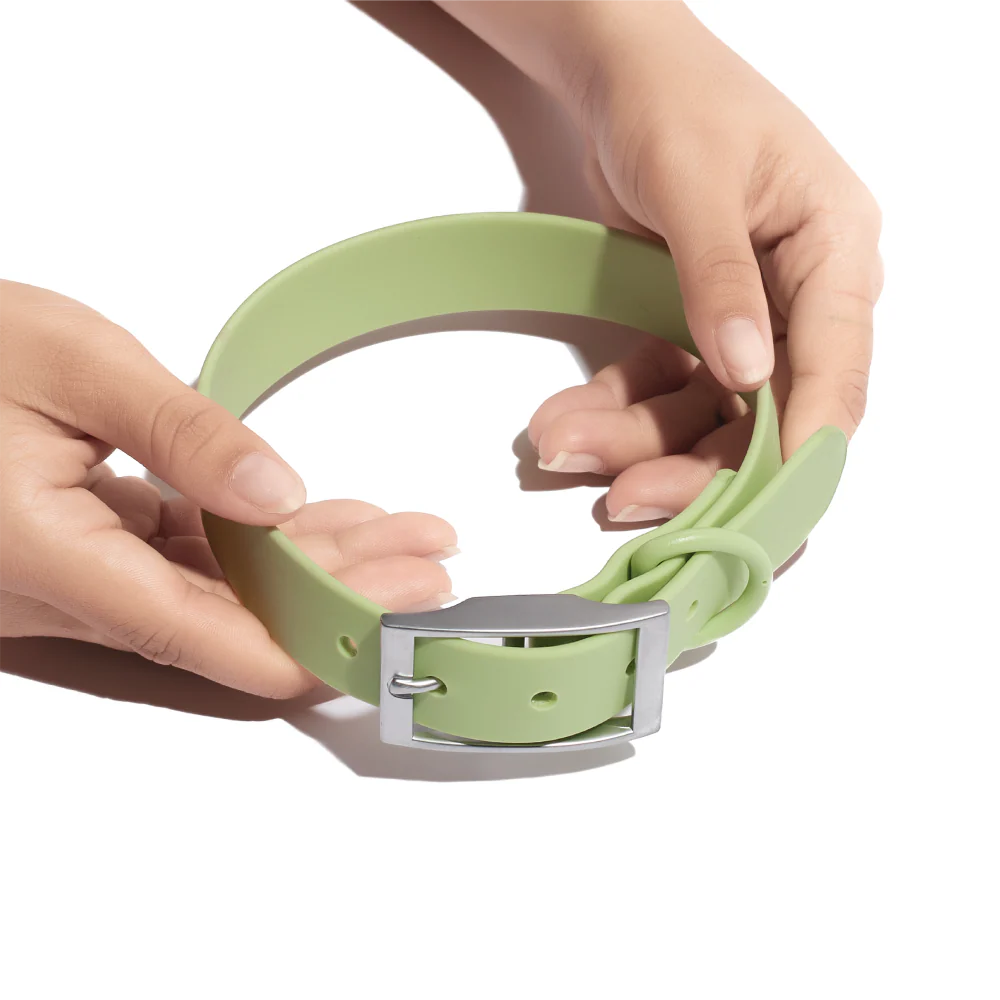 Furry & Co Weatherproof Collar for Dogs (Matcha Latte) - Image 4