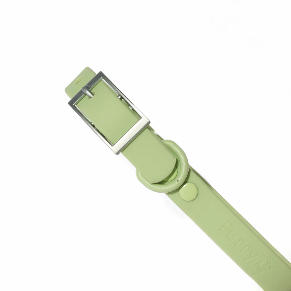 Furry & Co Weatherproof Collar for Dogs (Matcha Latte) - Image 5