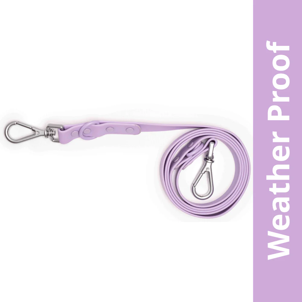 Furry & Co Weatherproof Leash for Dogs (Lilac)