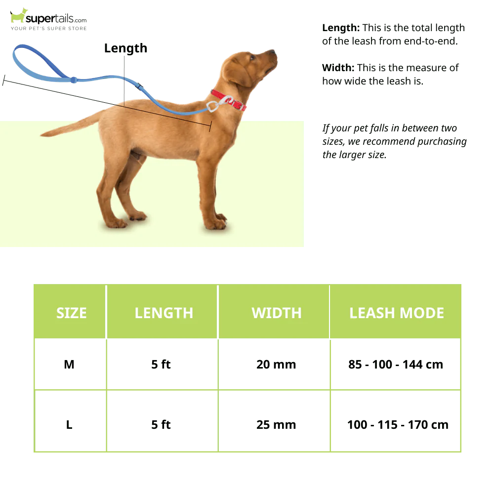 Furry & Co Weatherproof Leash for Dogs (Lilac) - Image 2