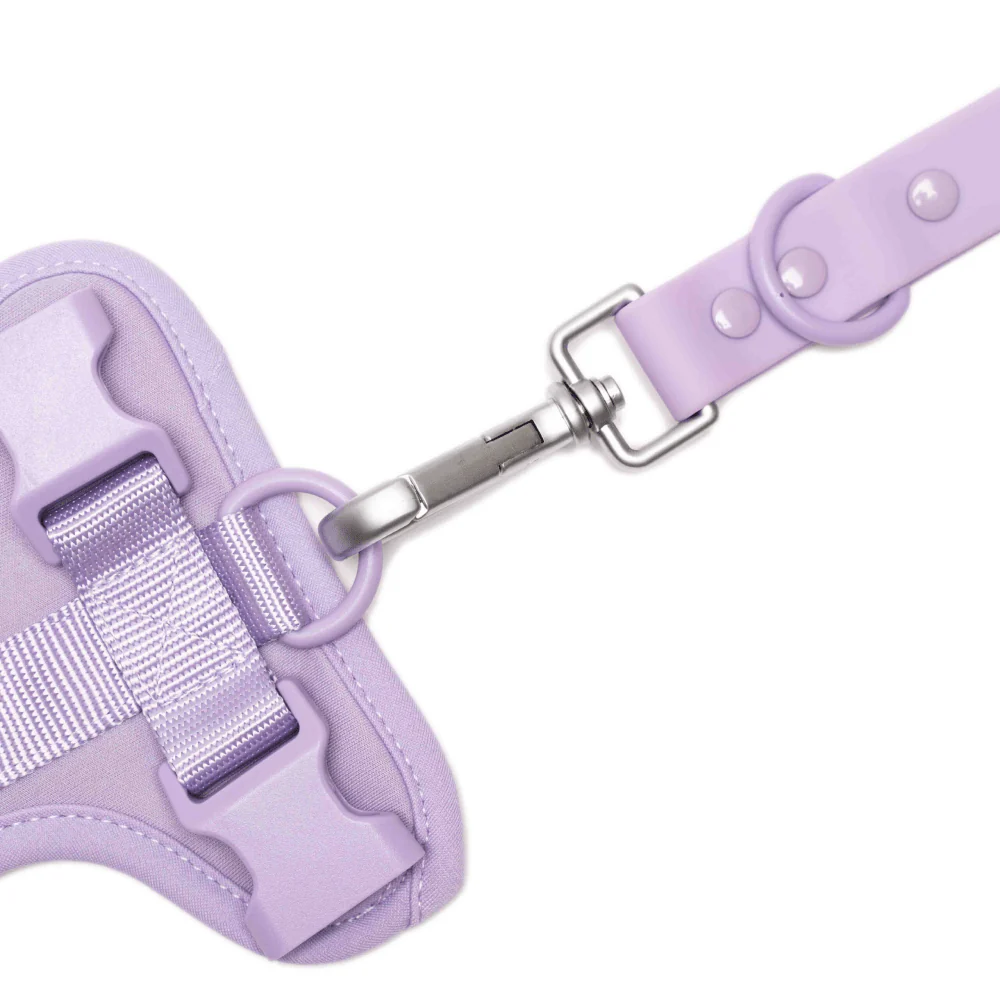Furry & Co Weatherproof Leash for Dogs (Lilac) - Image 3