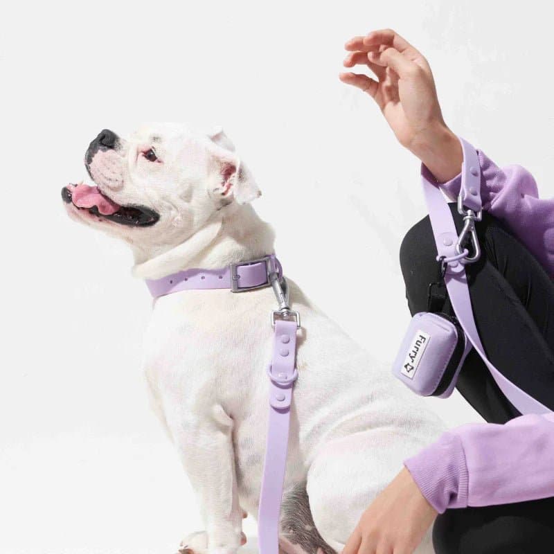Furry & Co Weatherproof Leash for Dogs (Lilac) - Image 6