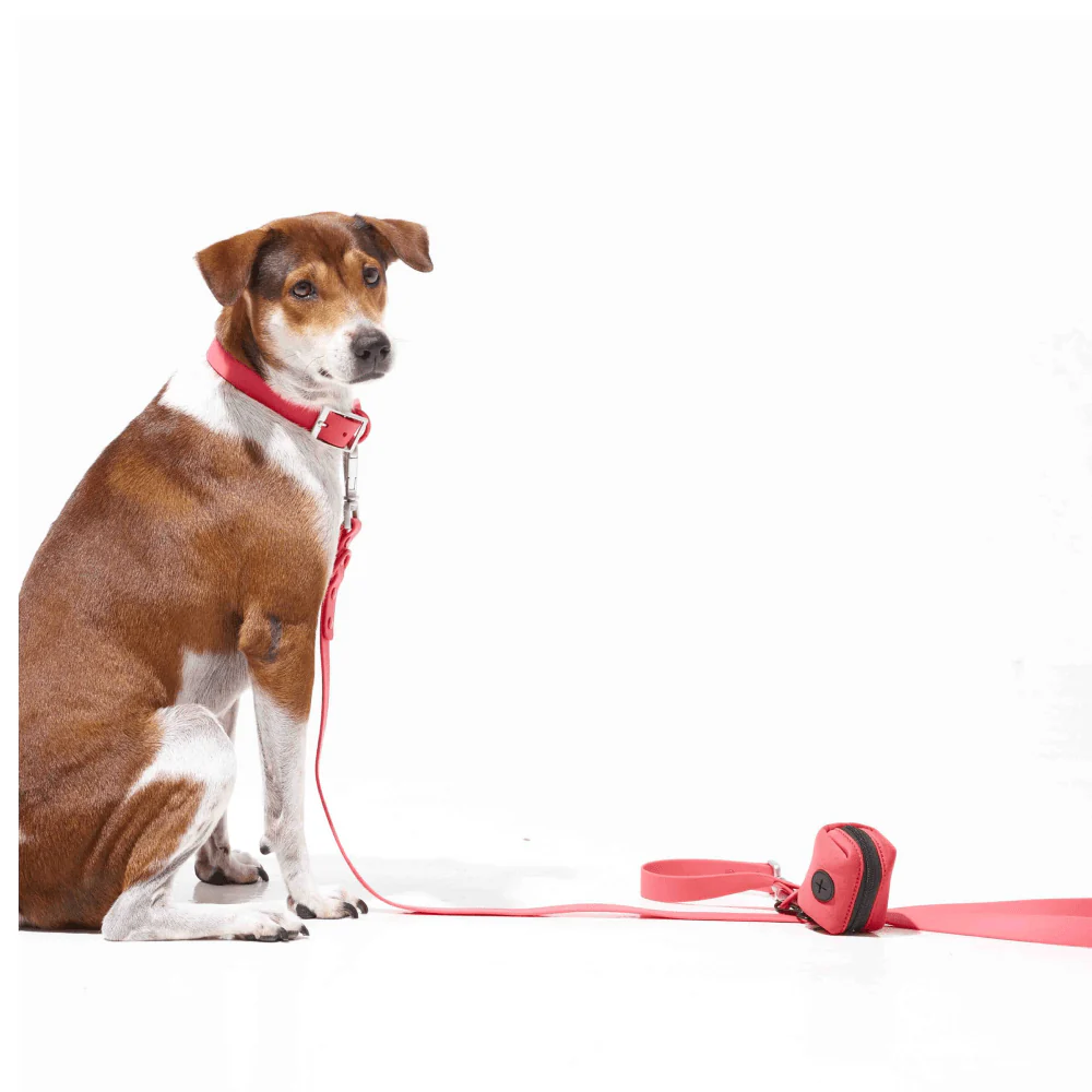 Furry & Co Weatherproof Leash for Dogs (Coral Red) - Image 4