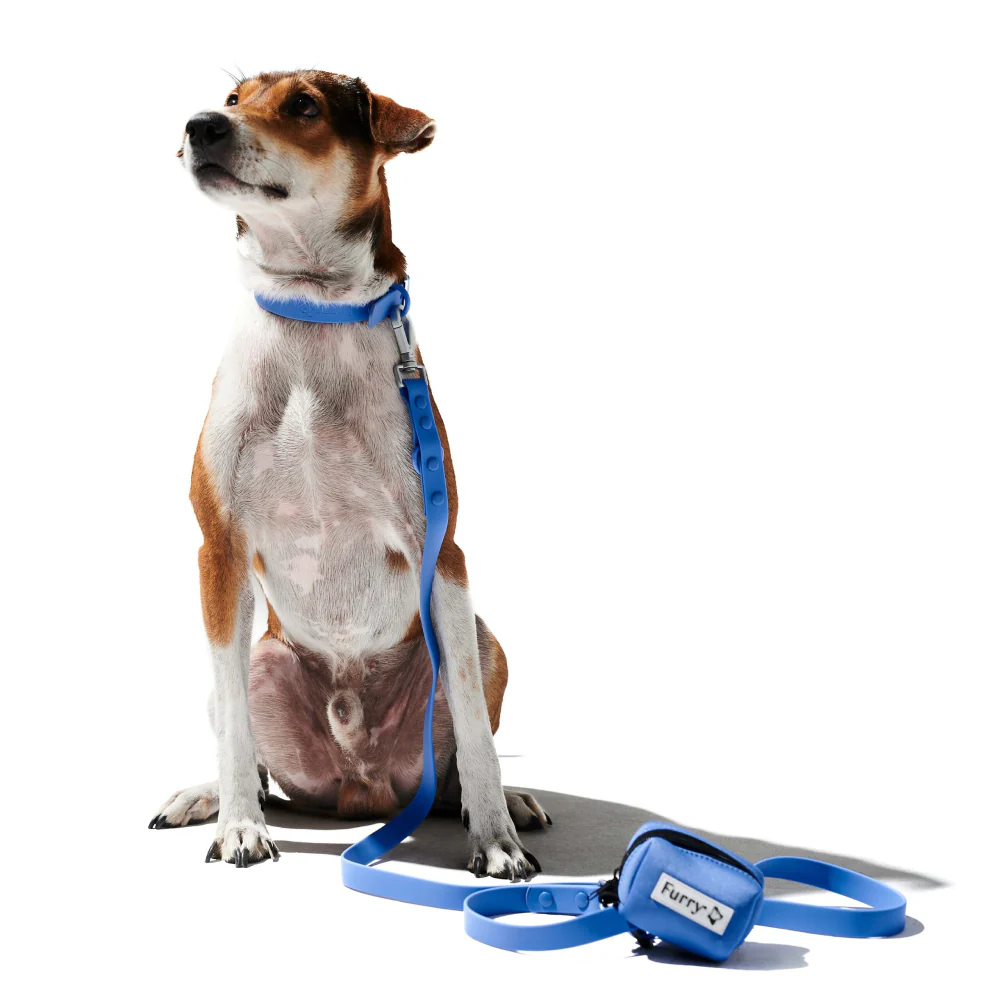 Furry & Co Weatherproof Leash for Dogs (Everest Blue) - Image 12