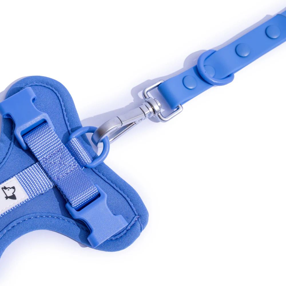 Furry & Co Weatherproof Leash for Dogs (Everest Blue) - Image 4