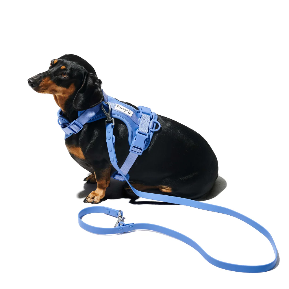Furry & Co Weatherproof Leash for Dogs (Everest Blue) - Image 6
