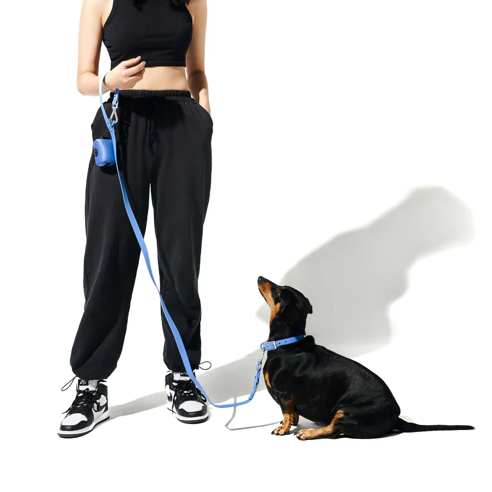 Furry & Co Weatherproof Leash for Dogs (Everest Blue) - Image 8