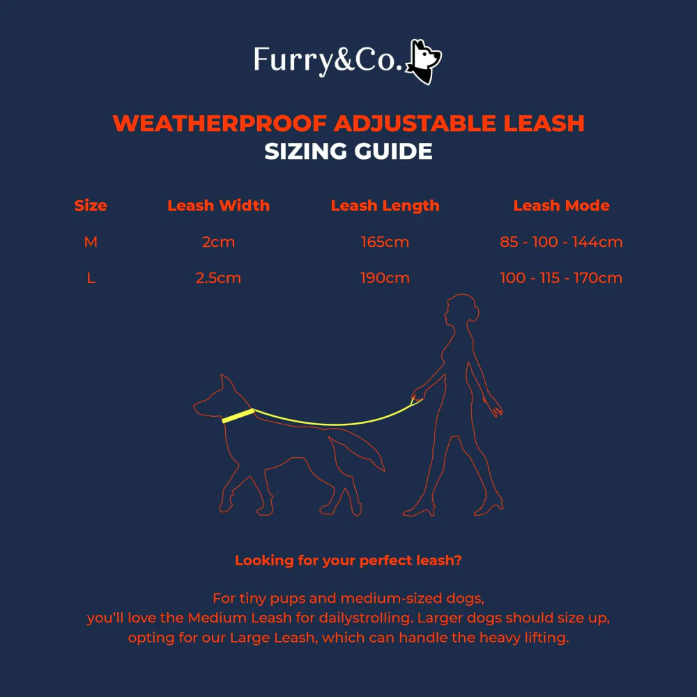 Furry & Co Weatherproof Leash for Dogs (Everest Blue) - Image 9