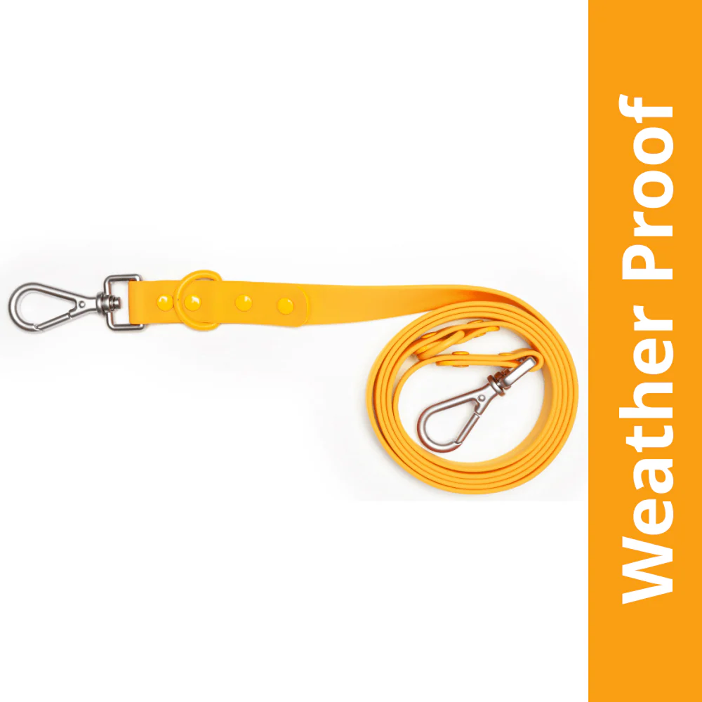 Furry & Co Weatherproof Leash for Dogs (Mango)