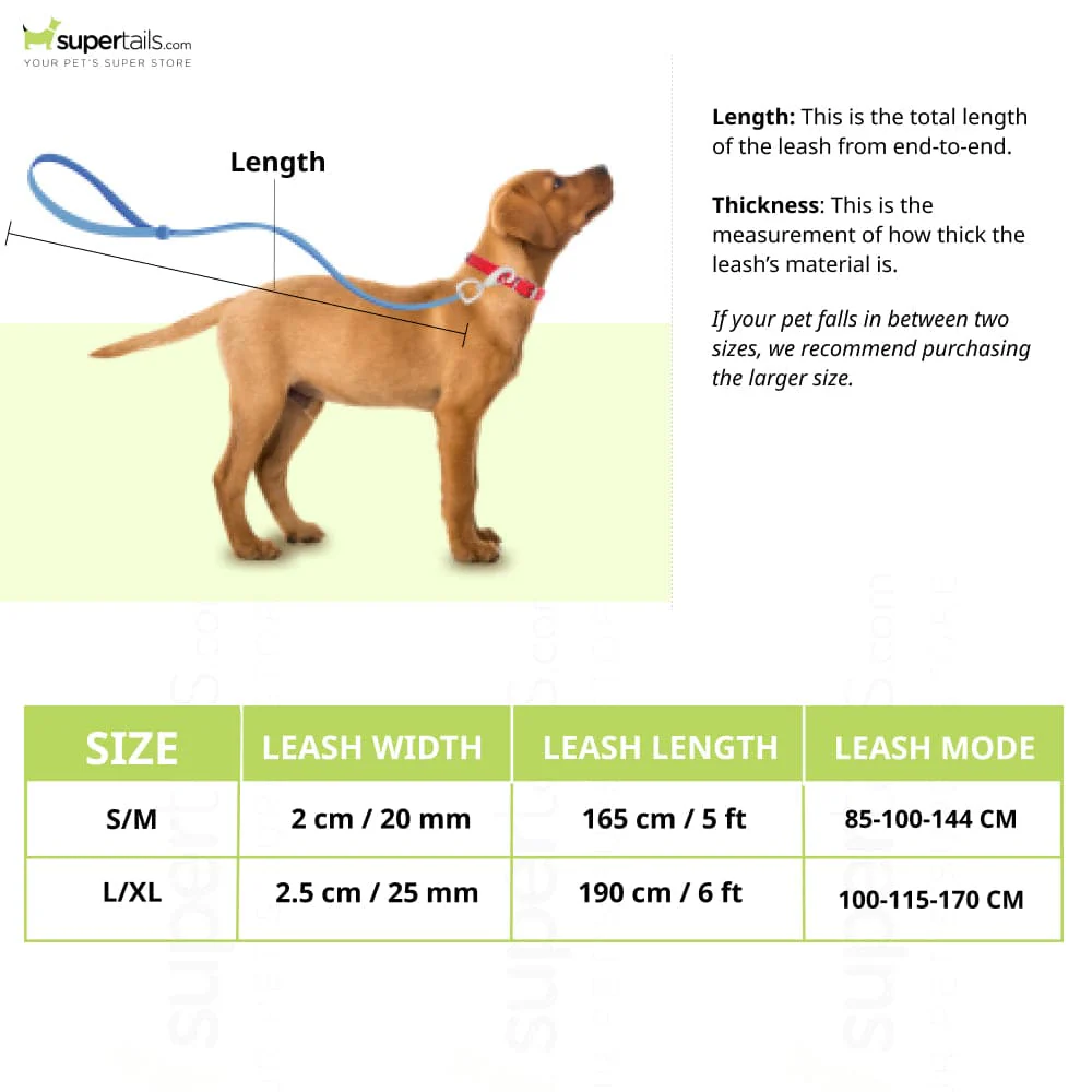 Furry & Co Weatherproof Leash for Dogs (Matcha Latte) - Image 2