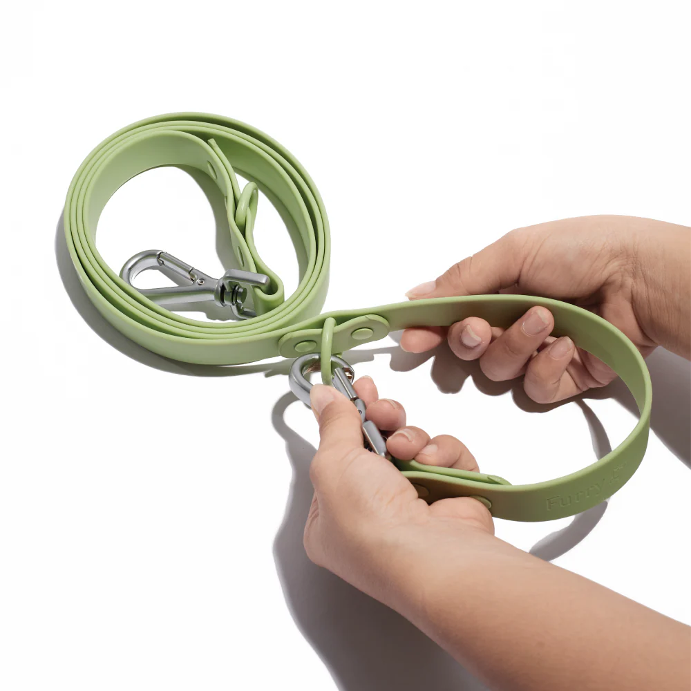 Furry & Co Weatherproof Leash for Dogs (Matcha Latte) - Image 4