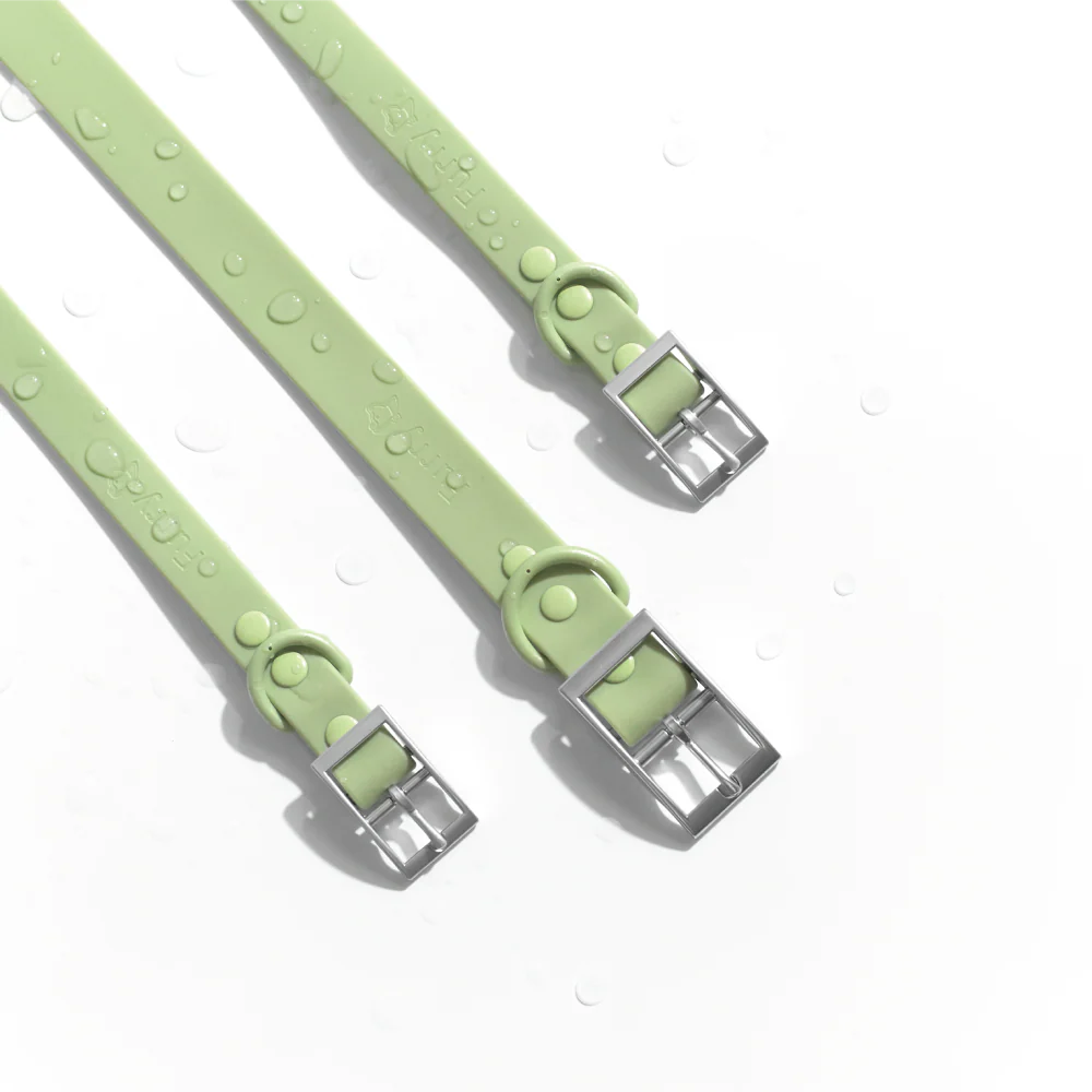 Furry & Co Weatherproof Leash for Dogs (Matcha Latte) - Image 6