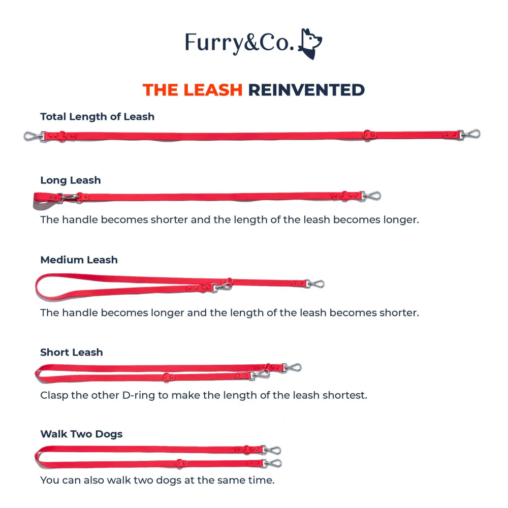 Furry & Co Weatherproof Leash for Dogs (Matcha Latte) - Image 8