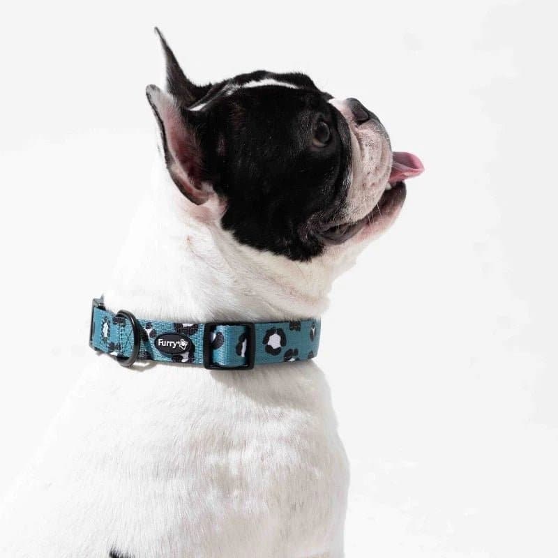 Furry & Co Wild One Comfort Collar for Dogs - Image 8