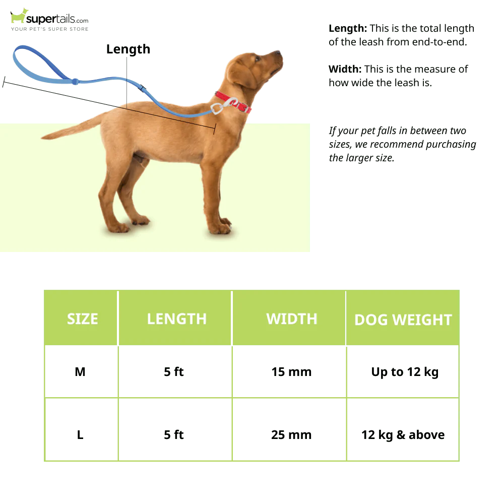 Furry & Co Wild One Comfort Leash for Dogs - Image 2