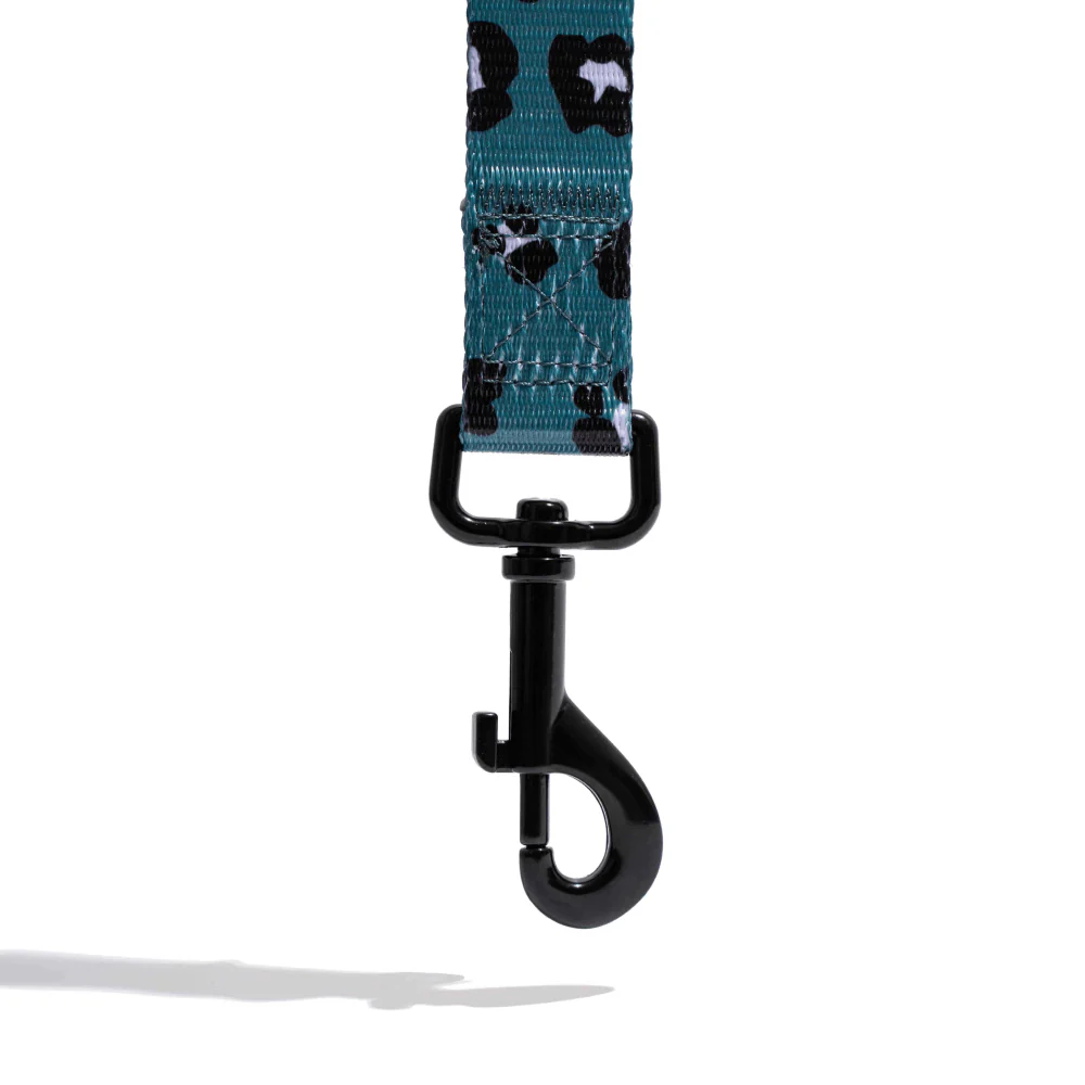 Furry & Co Wild One Comfort Leash for Dogs - Image 3